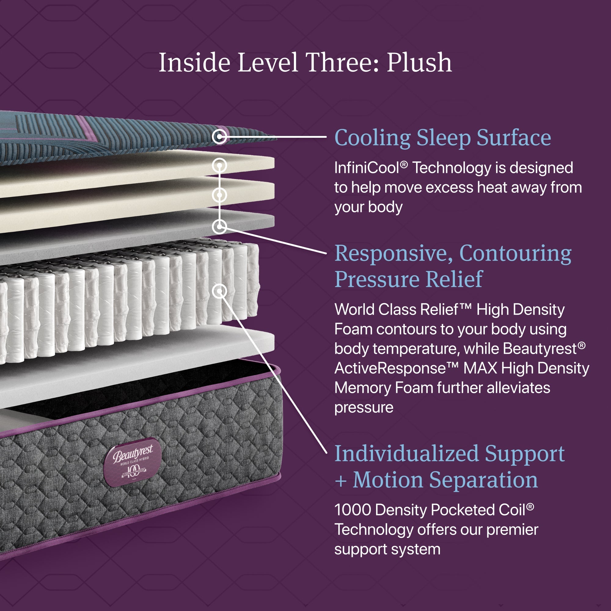 Beautyrest World Class L3 Plush - cutaway construction